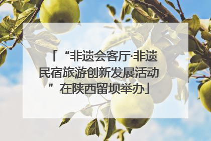“非遗会客厅·非遗民宿旅游创新发展活动”在陕西留坝举办