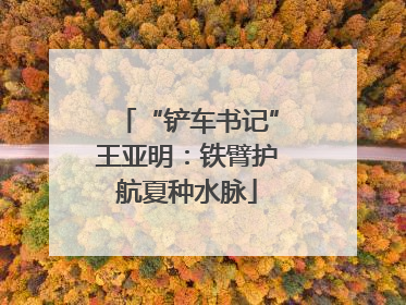 “铲车书记”王亚明：铁臂护航夏种水脉