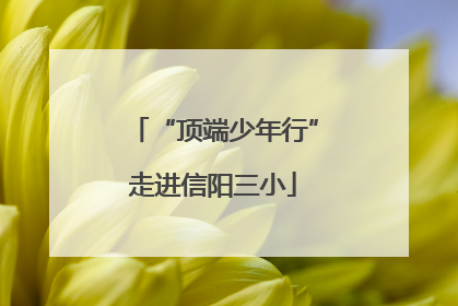 “顶端少年行”走进信阳三小