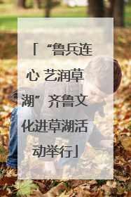 “鲁兵连心 艺润草湖”齐鲁文化进草湖活动举行