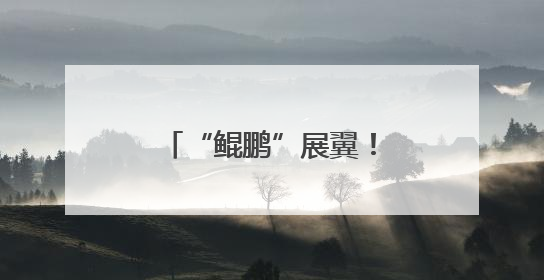“鲲鹏”展翼！“运-20”入驻西北工业大学