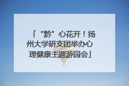 “黔”心花开！扬州大学研支团举办心理健康主题游园会