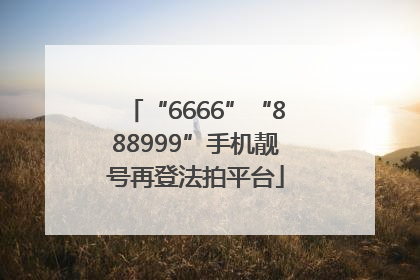 “6666”“888999”手机靓号再登法拍平台