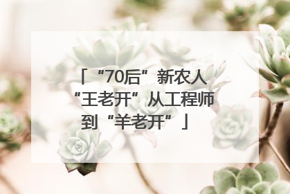 “70后”新农人“王老开”从工程师到“羊老开”