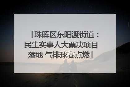 珠晖区东阳渡街道：民生实事人大票决项目落地 气排球赛点燃