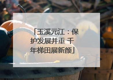 玉溪元江：保护发展并重 千年梯田展新颜