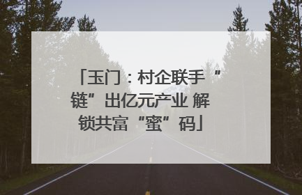 玉门：村企联手“链”出亿元产业 解锁共富“蜜”码