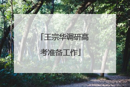 王宗华调研高考准备工作