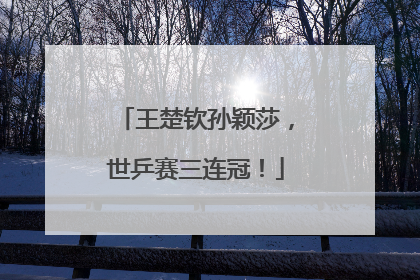 王楚钦孙颖莎，世乒赛三连冠！