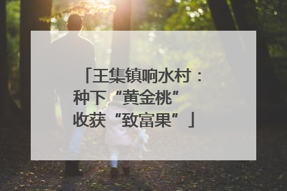 王集镇响水村：种下“黄金桃” 收获“致富果”