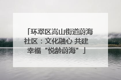 环翠区嵩山街道蔚海社区：文化融心 共建幸福“悦龄蔚海”