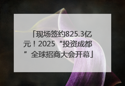 现场签约825.3亿元！2025“投资成都”全球招商大会开幕