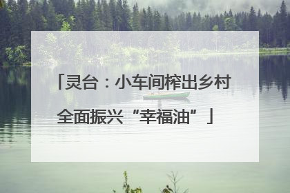 灵台：小车间榨出乡村全面振兴“幸福油”