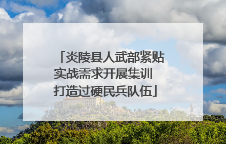 炎陵县人武部紧贴实战需求开展集训 打造过硬民兵队伍