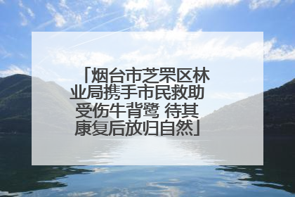 烟台市芝罘区林业局携手市民救助受伤牛背鹭 待其康复后放归自然