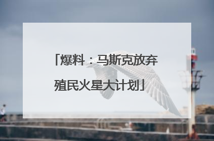 爆料：马斯克放弃殖民火星大计划