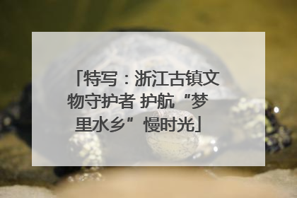 特写：浙江古镇文物守护者 护航“梦里水乡”慢时光