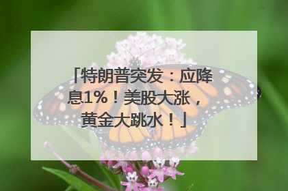 特朗普突发：应降息1%！美股大涨，黄金大跳水！