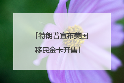 特朗普宣布美国移民金卡开售