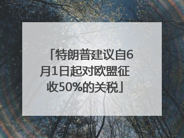 特朗普建议自6月1日起对欧盟征收50%的关税