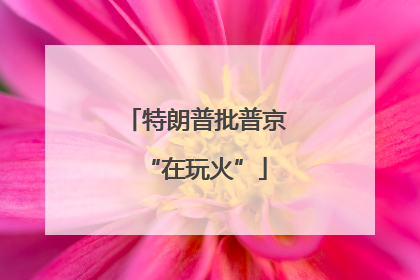 特朗普批普京“在玩火”