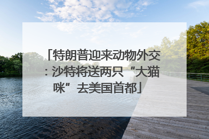 特朗普迎来动物外交：沙特将送两只“大猫咪”去美国首都
