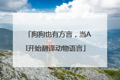 狗狗也有方言，当AI开始翻译动物语言