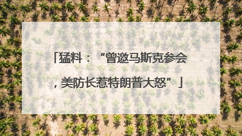 猛料：“曾邀马斯克参会，美防长惹特朗普大怒”