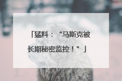 猛料：“马斯克被长期秘密监控！”