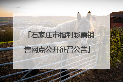 石家庄市福利彩票销售网点公开征召公告