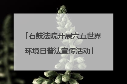 石鼓法院开展六五世界环境日普法宣传活动