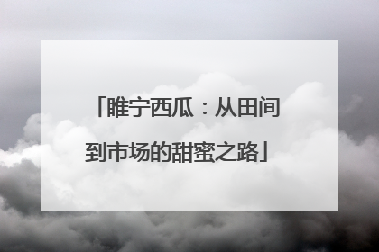 睢宁西瓜：从田间到市场的甜蜜之路