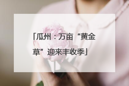瓜州：万亩“黄金草”迎来丰收季