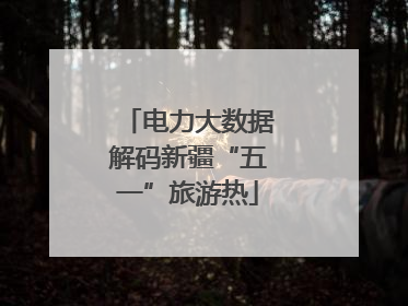 电力大数据解码新疆“五一”旅游热