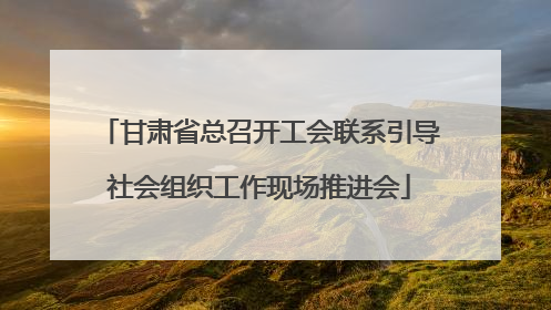 甘肃省总召开工会联系引导社会组织工作现场推进会
