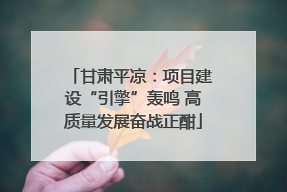 甘肃平凉：项目建设“引擎”轰鸣 高质量发展奋战正酣