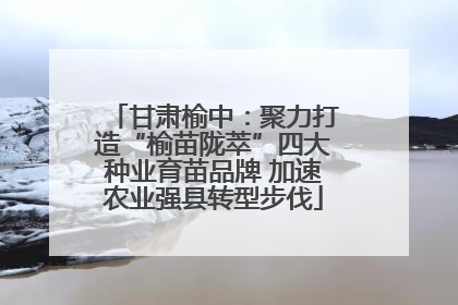 甘肃榆中：聚力打造“榆苗陇萃”四大种业育苗品牌 加速农业强县转型步伐