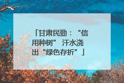 甘肃民勤：“信用种树” 汗水浇出“绿色存折”