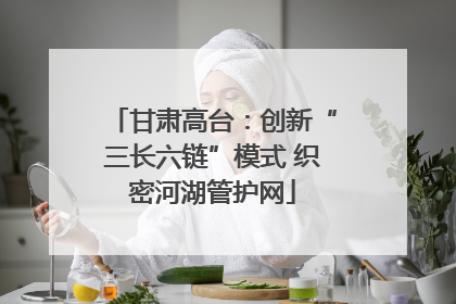 甘肃高台：创新“三长六链”模式 织密河湖管护网