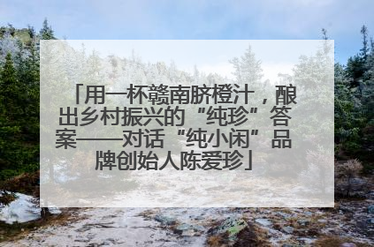 用一杯赣南脐橙汁，酿出乡村振兴的“纯珍”答案——对话“纯小闲”品牌创始人陈爱珍