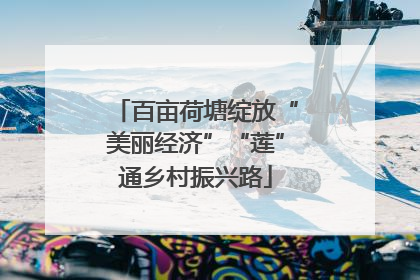 百亩荷塘绽放“美丽经济”“莲”通乡村振兴路