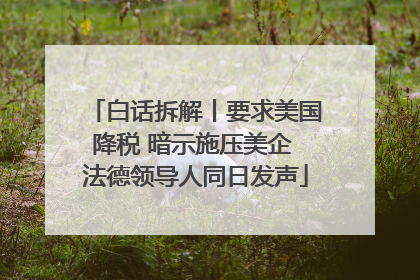 白话拆解丨要求美国降税 暗示施压美企 法德领导人同日发声