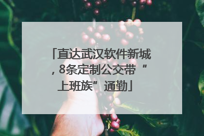 直达武汉软件新城，8条定制公交带“上班族”通勤