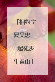 相约宁夏吴忠 一起徒步牛首山