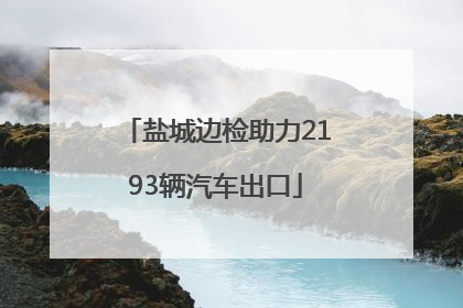 盐城边检助力2193辆汽车出口