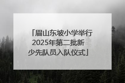 眉山东坡小学举行2025年第二批新少先队员入队仪式