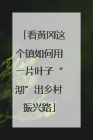 看黄冈这个镇如何用一片叶子“沏”出乡村振兴路