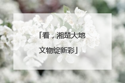 看，湘楚大地文物绽新彩