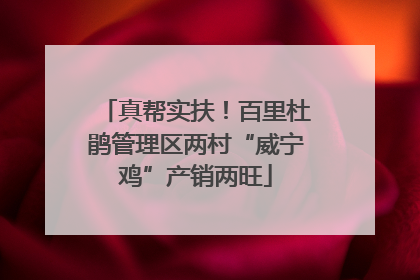 真帮实扶！百里杜鹃管理区两村“威宁鸡”产销两旺