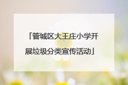 管城区大王庄小学开展垃圾分类宣传活动